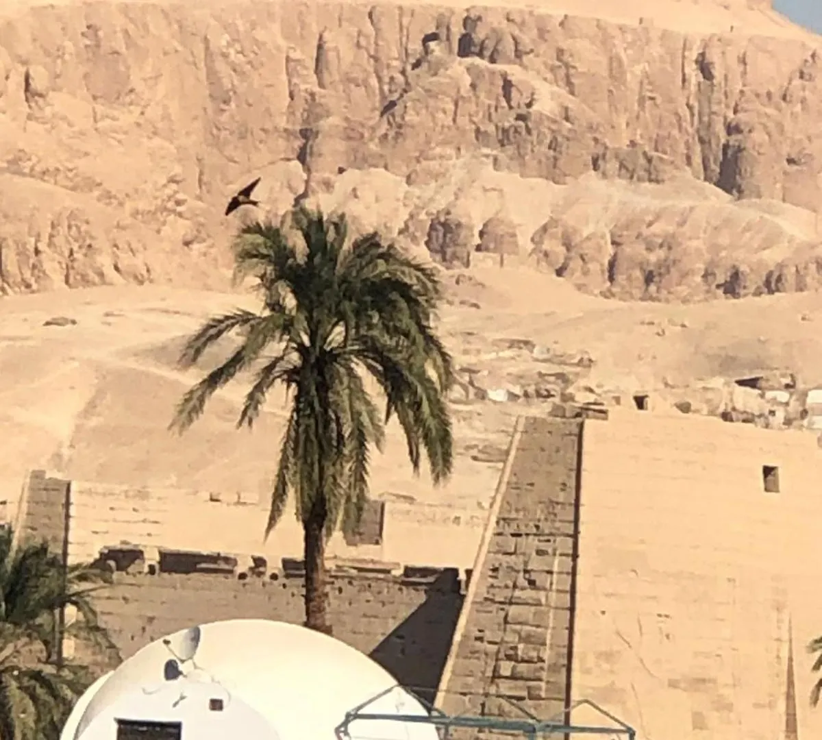 Habu Garden Apartment Luxor