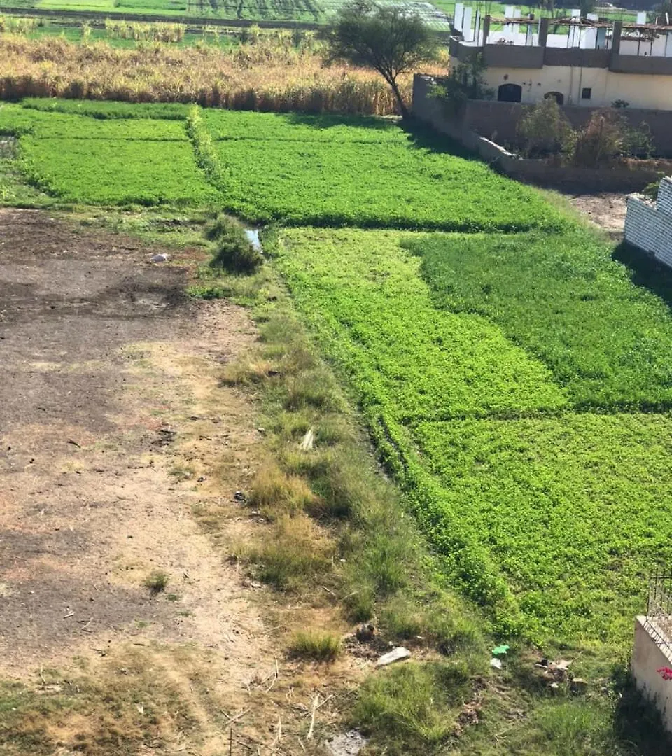 Habu Garden Apartment Luxor